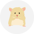 Classroom icon prim07